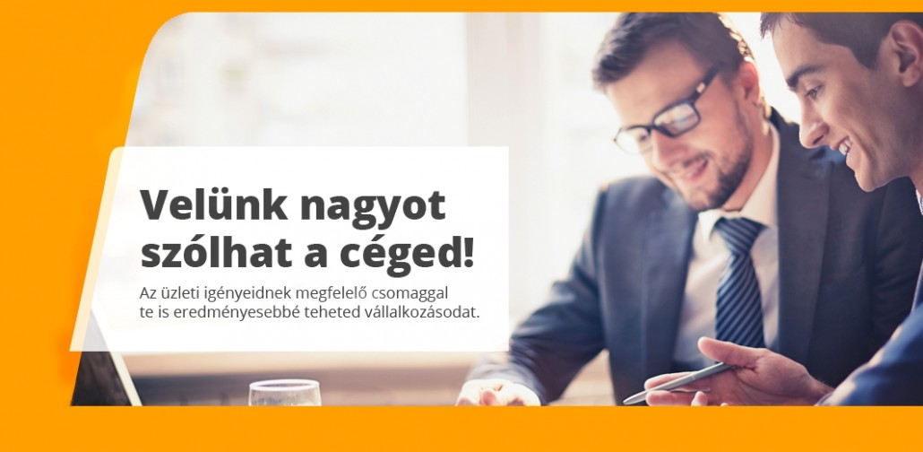 Netfone_céges
